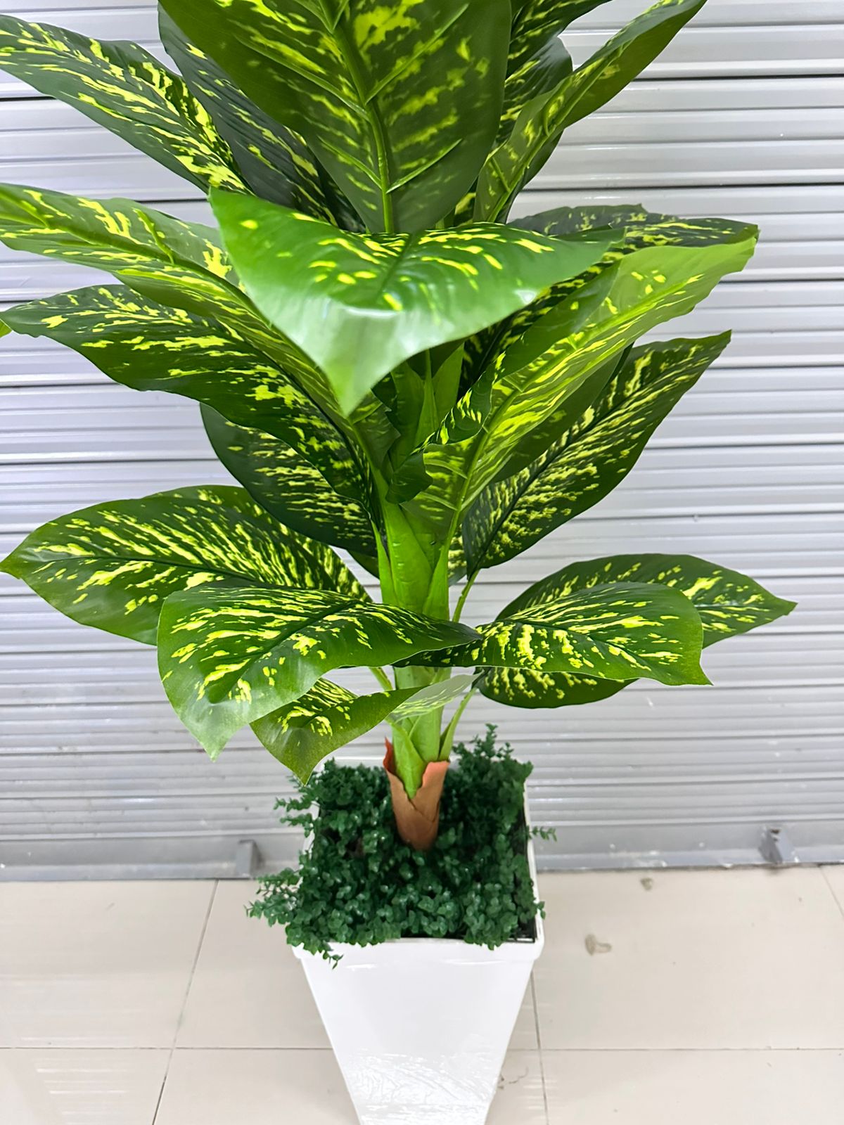 Planta de Lluvia de Plata Artificial de 200cm con Maceta de Trupán